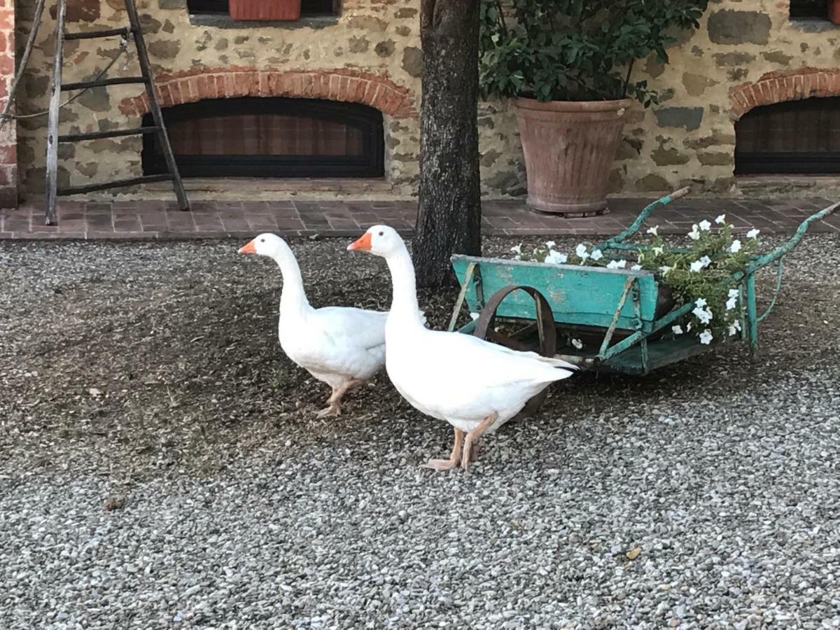 Podere La Fausta Serravalle Pistoiese Dış mekan fotoğraf